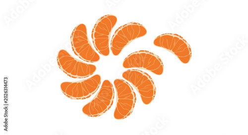 Mandarin Orange Segments Arranged in a Circular Pattern Illustration
