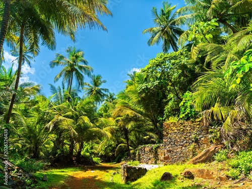 Φωτογραφία Remains of notorious penal colony in Saint Joseph Island, Salvation Islands, Fre
