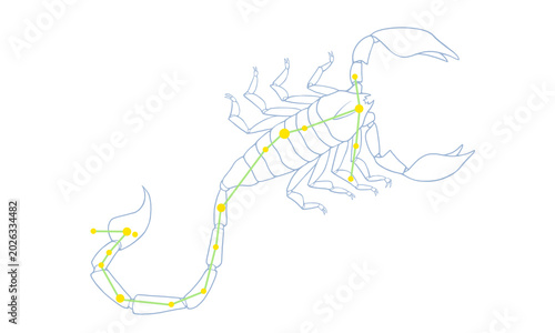さそり座のカラー線画イラスト（サソリの絵と星座線）