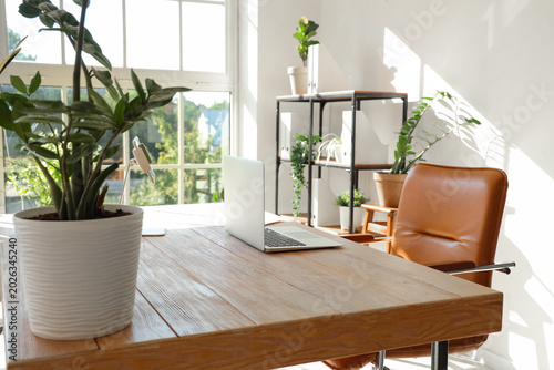 Laptop and plant on desk in...
