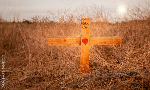 Canvas Print A wood cross in a brown field with a red heart in the center