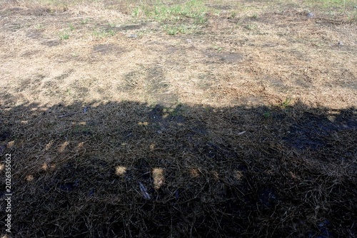 A stretch of land with withered brown grass and the shadow of the roof traditional building exposed to direct sunlight on a hot day