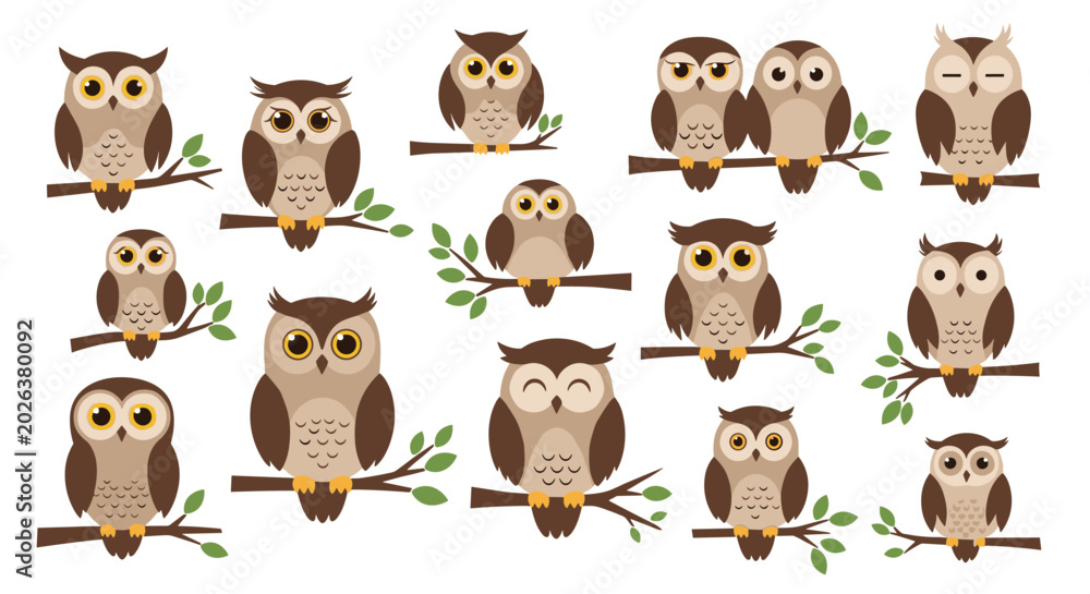 Fototapeta premium Large set of diverse owl characters perched on branches with different expressions and plumage patterns on a white background.