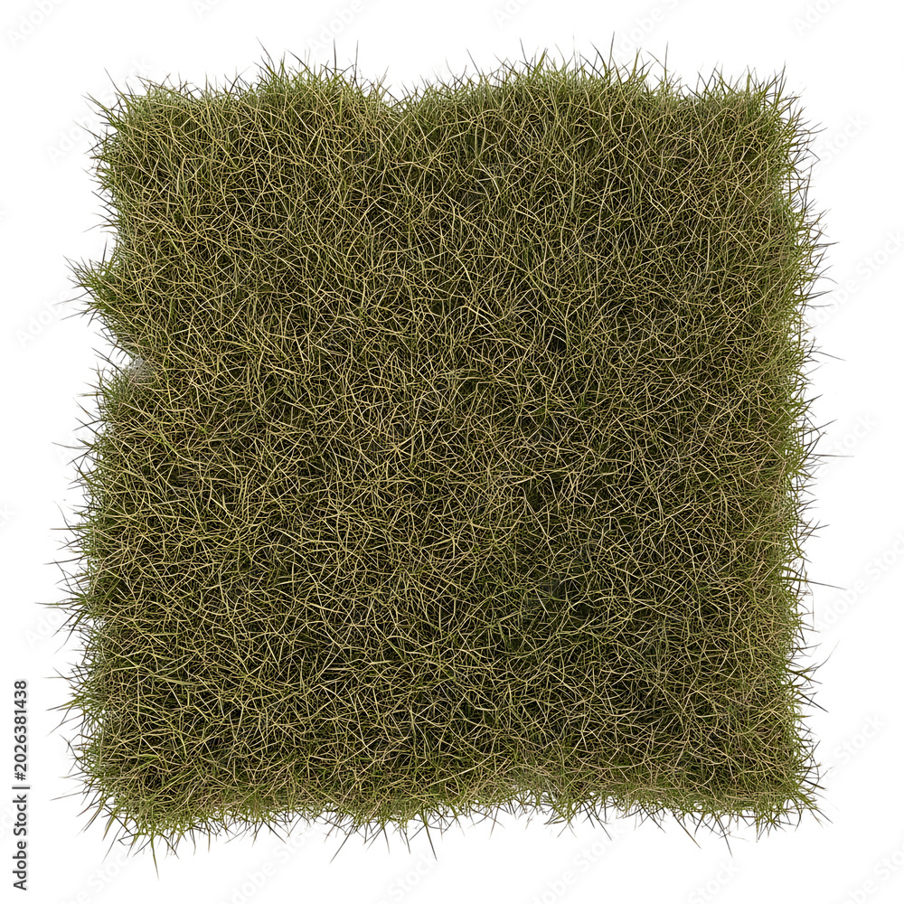 Green grass texture background pattern
