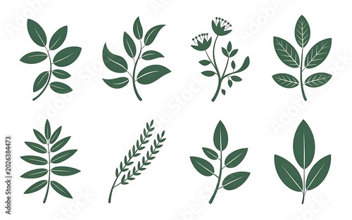 Set of eight dark green botanical leaf featuring various plant branch and foliage shapes styles