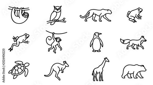 Photography Minimalist animal line icons set, black outline wildlife vector illustrations, c