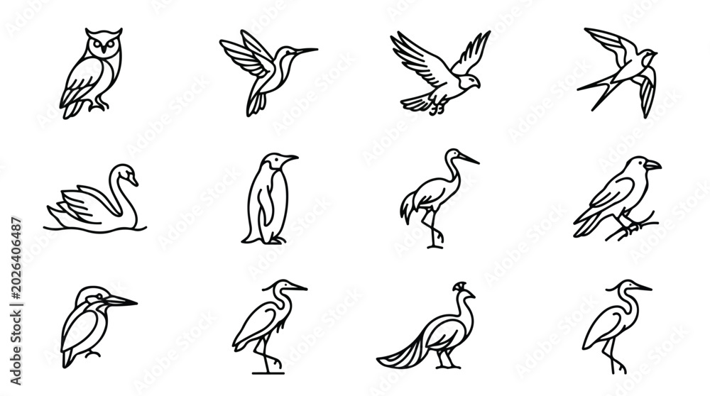 Fototapeta premium Minimalist bird line icons set, 12 black and white avian vector illustrations, modern geometric bird silhouettes for branding and logo design