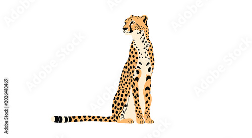 Graceful cheetah sitting calmly and looking back over its shoulder against a stark white background in a flat illustration style.