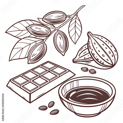 Raw cocoa beans and dark chocolate bar with bowl of melted chocolate vector