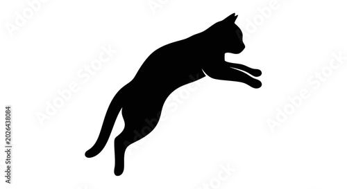 Foto Black cat jumping in air.