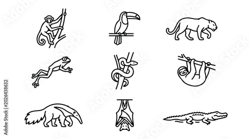 Photography Tropical jungle animals icon set, 9 black line vector illustrations of rainfores