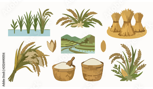 Konstfotografi Rice Agriculture Illustration Pack with Paddy Plants Grain Harvest and Botanical