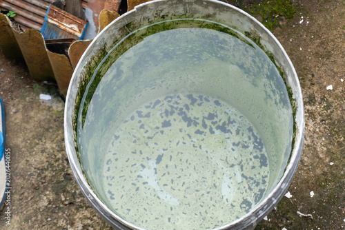 Foto A bucket filled with a murky green liquid