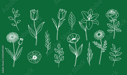A beautiful collection of white hand-drawn botanical illustrations isolated on a solid green background.