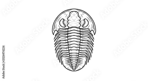Ancient Trilobite Fossil Embedded in Sedimentary Rock Specimen