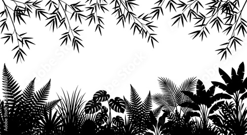 Tropical jungle foliage silhouette in a dense forest with bamboo leaves overhead for nature design
