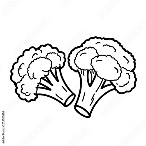 Hand drawn broccoli florets line art illustration. Fresh broccoli stalks doodle outline drawing isolated on white background