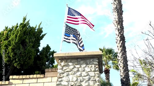 american flags in the park