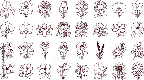 Bild auf Leinwand Variety of beautiful floral illustrations in line art style showing different types of flowers like roses lilies orchids tulips and daisies