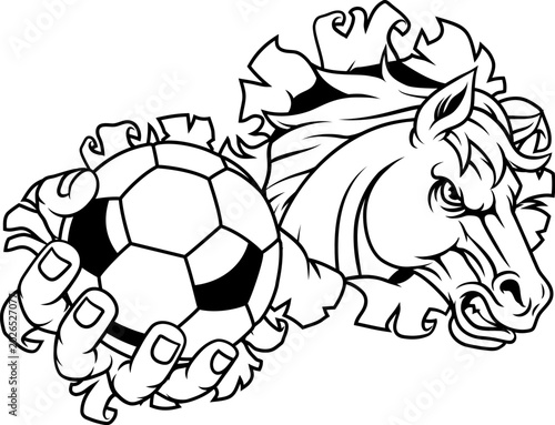 Horse mustang bronco stalli...