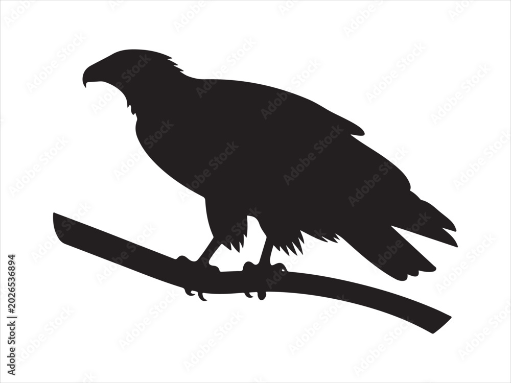 Fototapeta premium Steller's Sea Eagle sitting on the branch in silhouette flat vector illustration isolated design