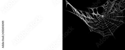 Canvastavla White spider web isolated on transparent background for creative design