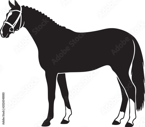 Bild auf Leinwand Show Horse Standing Profile Graphic Black and White Line Art