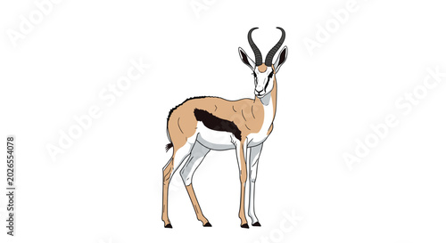 Foto Detailed illustration of a springbok antelope standing gracefully with its characteristic horns and facial markings in a profile view
