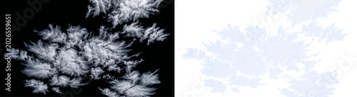 Tableau sur toile Wispy cirrus white clouds alpha channel transparent background isolated for comp
