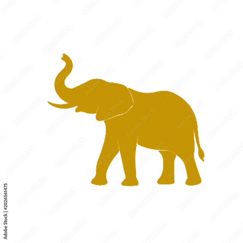 Obraz premium elephant on a white background