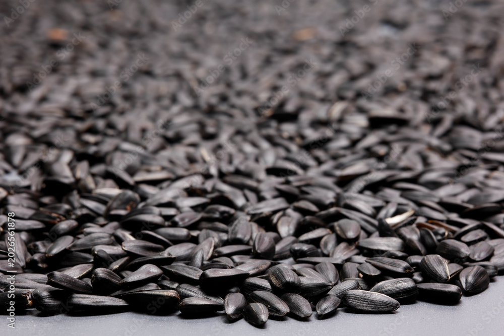 Obraz premium Pile of black sunflower seeds background with selective focus