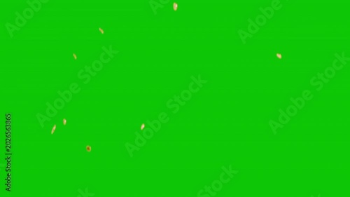 Explosion gold coins overlay on black background with green screen and alpha matte.