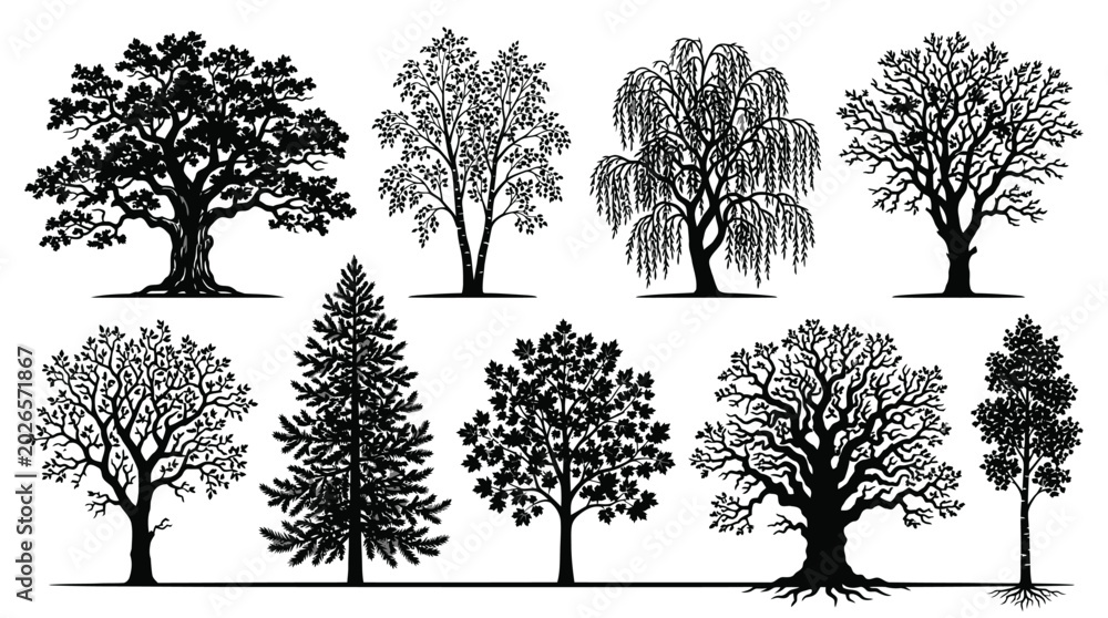 Obraz premium set of trees silhouettes