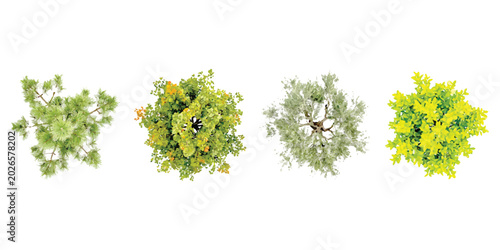 Obraz na płótnie Set of four green trees seen from above for landscape design and architectural s