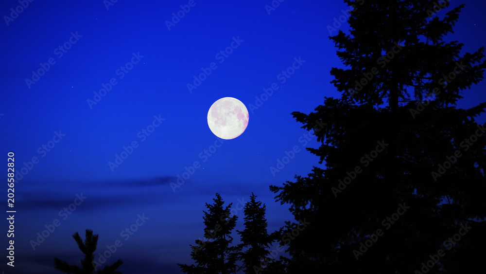 Fototapeta premium Full Moon, stars and planets above landscape silhouettes.