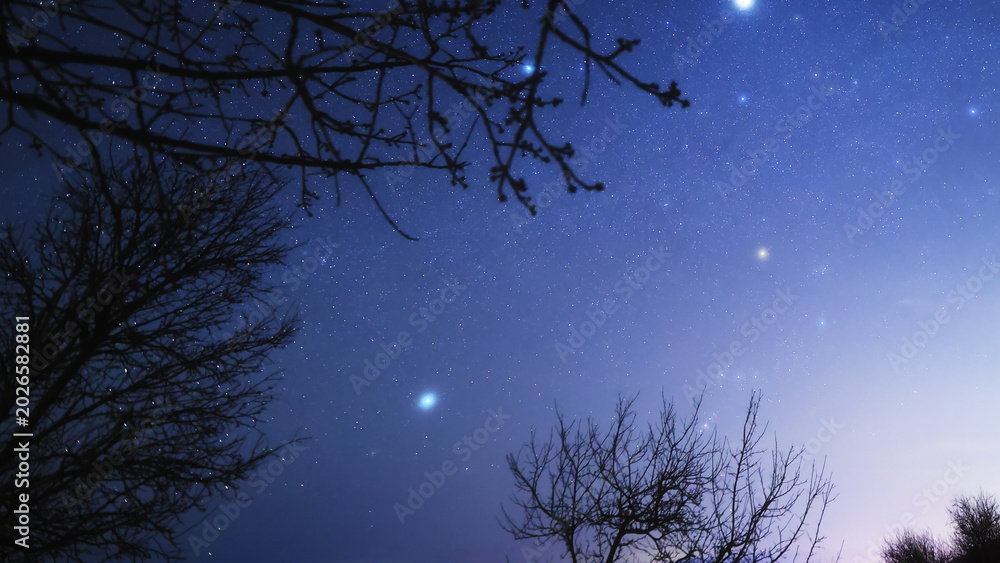 Fototapeta premium Constellations, zodiacal light and Milky Way stars on a dark countryside skies.