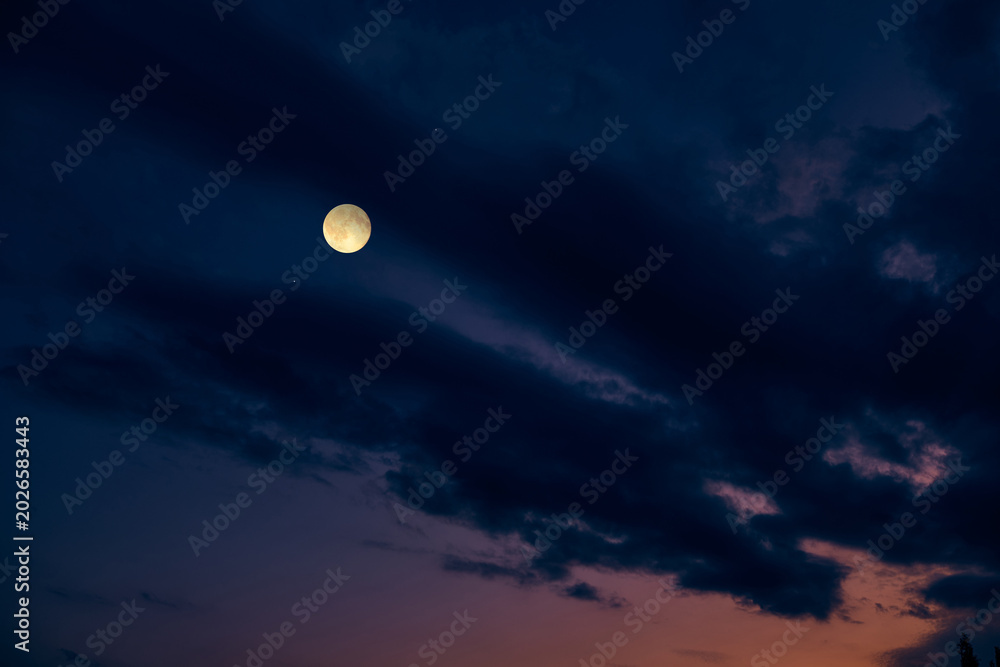 Fototapeta premium Full Moon on a twilight background.