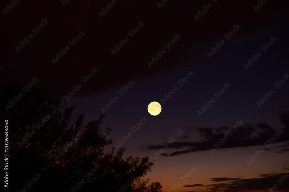 Fototapeta premium Full Moon on a twilight sky with landscape silhouettes.