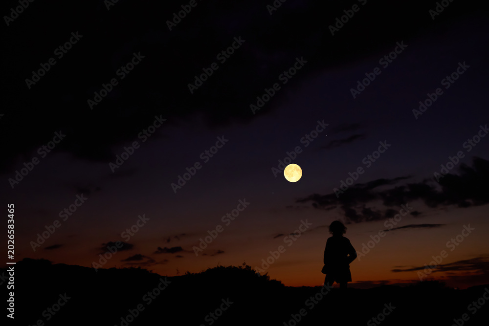 Fototapeta premium Woman observing stars, planets, Moon and other celestial objects.