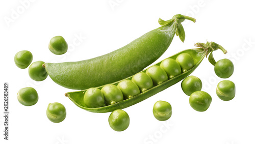 Obraz na plátne Fresh green pea pods with scattered peas, isolated on transparent background