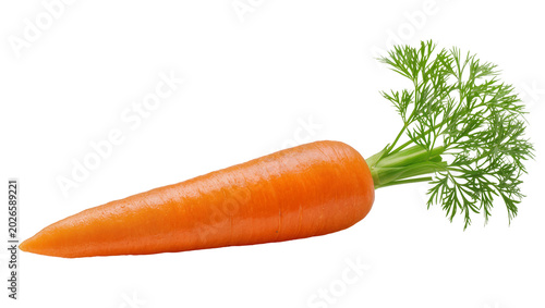 Billede på lærred Fresh orange carrot with green feathery leaves, isolated on transparent backgrou