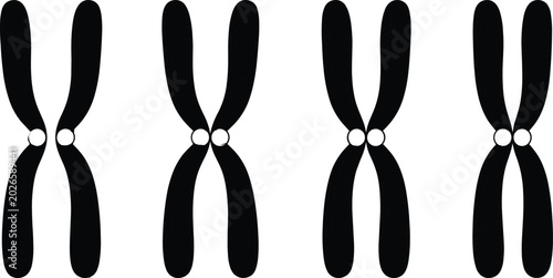 Tableau sur toile Human Chromosome Set Silhouette Icon Vector Illustration for Medical Research Sc
