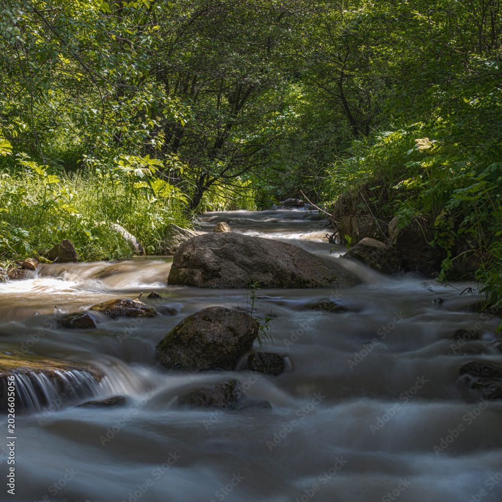 Fototapeta premium Landscape, mountain, river, stream, green, trees, forest, flowing, 