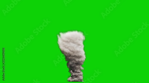 Long shot of Isolated Large Dust Tornado without debris rising upwards from to ground on a perfect green background