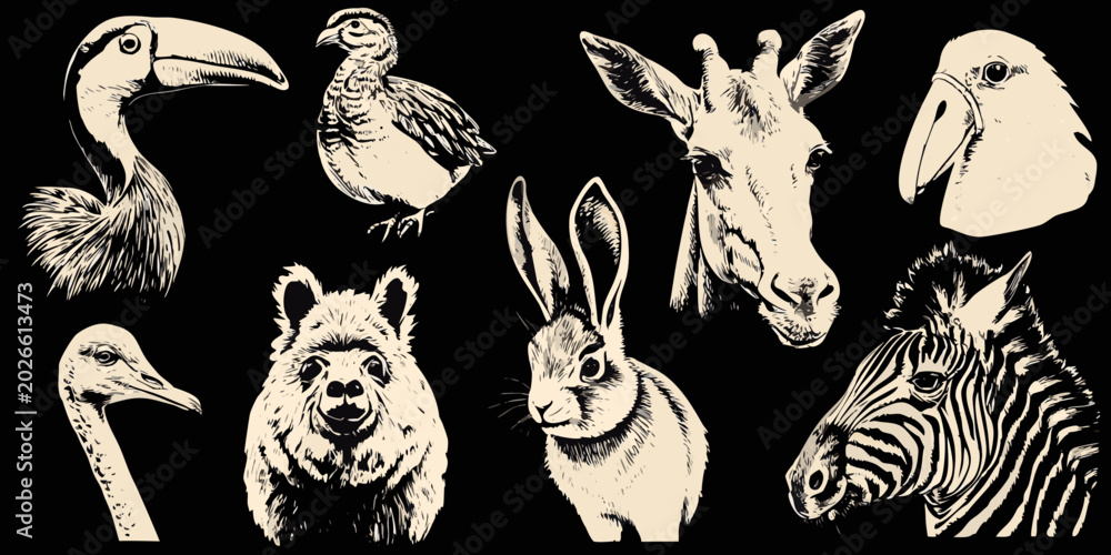 Fototapeta premium vector illustration of vintage style animal heads on black background