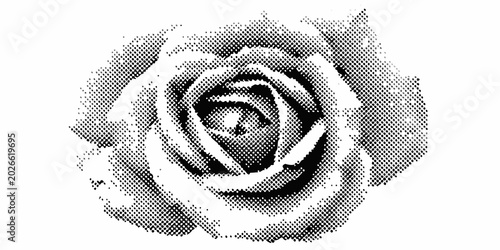 Schilderij op canvas Halftone rose illustration in grayscale with pixel dot pattern