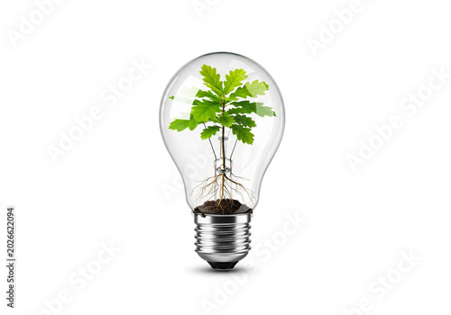 Green eco light bulb with plant symbolizing renewable energy concept
