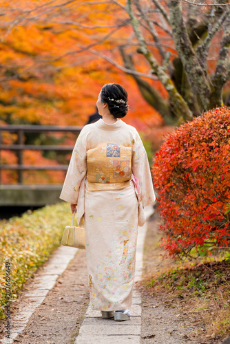 Maple leaves turning red in the autumn season in Kyoto. Back view a woman wearing Japanese traditional kimono walking on Philosopher's Path ( Tetsugaku No Michi ). Fall foliage in Japan.
