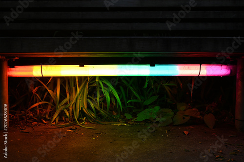 Rainbow Neon Light Under Wooden Bench