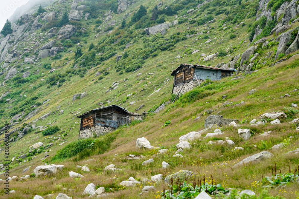Obraz premium Image of Kackar mountain ranges and plateaus in Rize province.